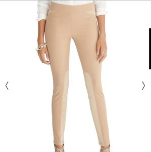 White House Black Market Side Zip Equestrian Pant